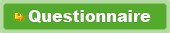 Questionnaire